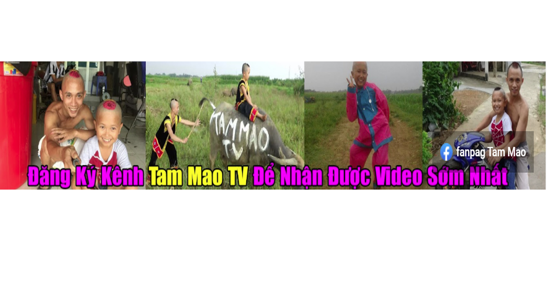 Tam Mao TV