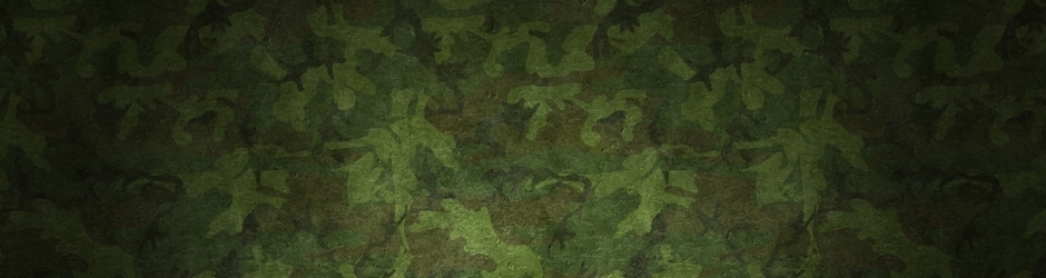 MDV-Military Defense Videos & Combat Footage