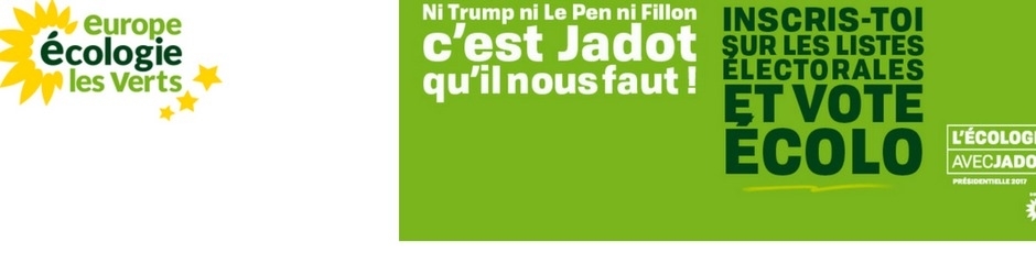 Yannick Jadot, Présidentielle 2017