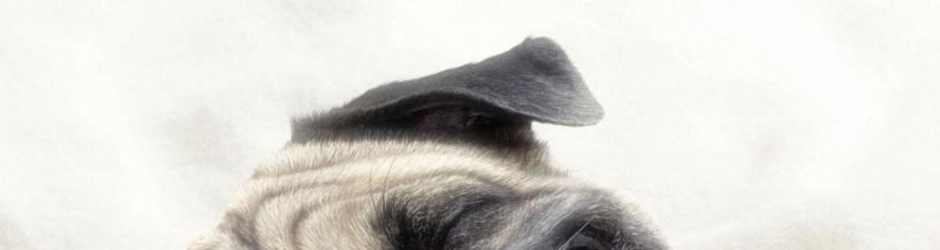 supercrazyvideofest568