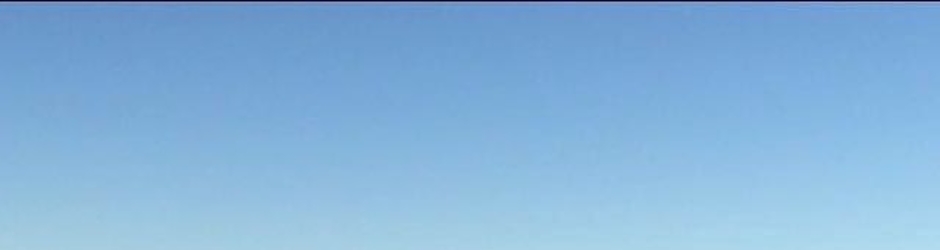 Roaming Camels Morocco