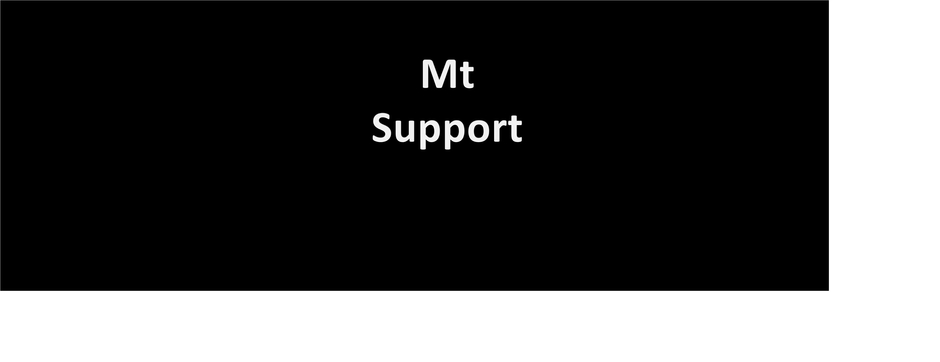 MT Support
