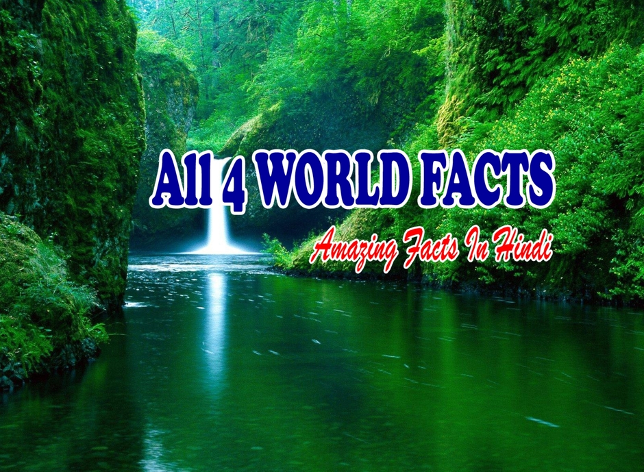 All 4 World Facts
