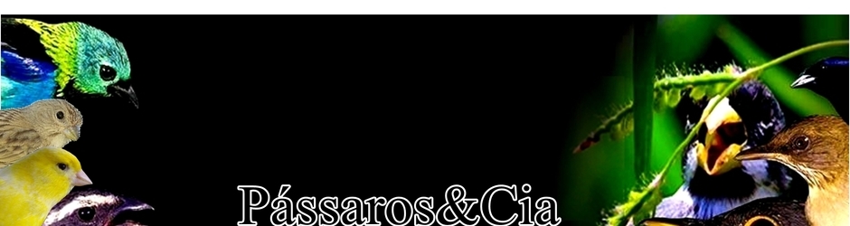 Pássaros&Cia.