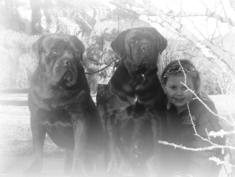 Les Gardiens de Wenelzic