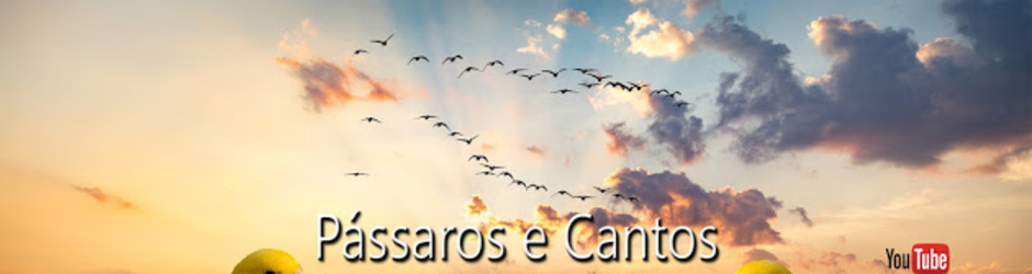 Pássaros-e Cantos