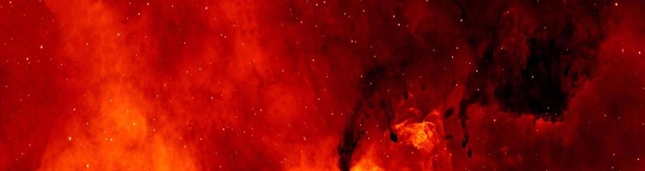 VERDADE OU MENTIRA !?