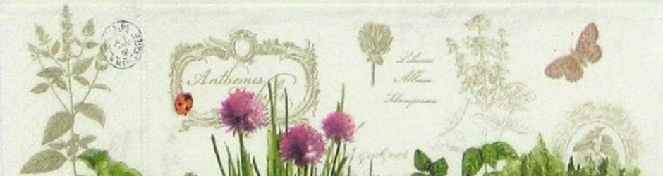 Caseirices com luisa drummond