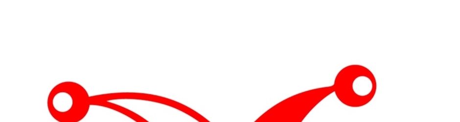 Prank King Entertainment