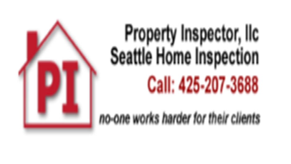 Property Inspector LLC
