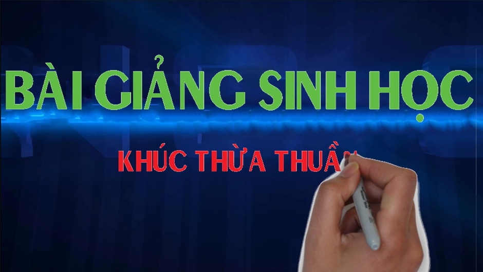 BAI GIANG SINH HOC