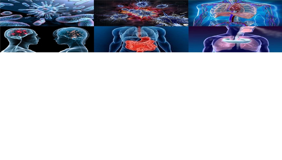 Ciencias Osgam Educativas - ViendoyAprendo