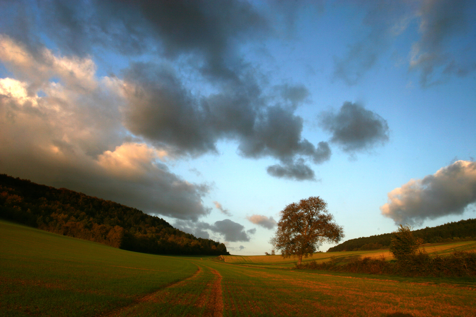 Entertainment and more