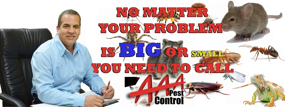 AAA Pest Control