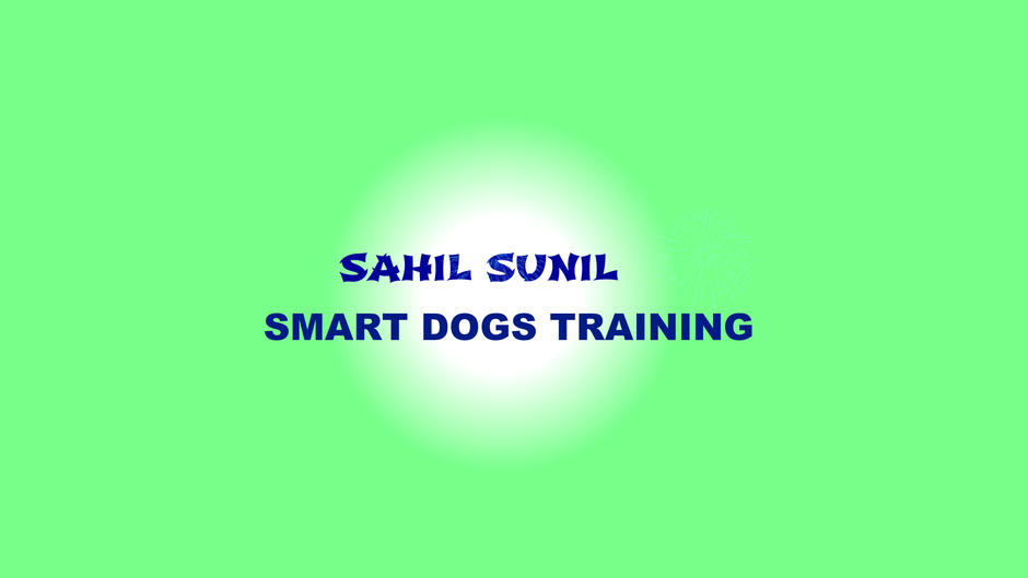 SMART DOGS TRAINING