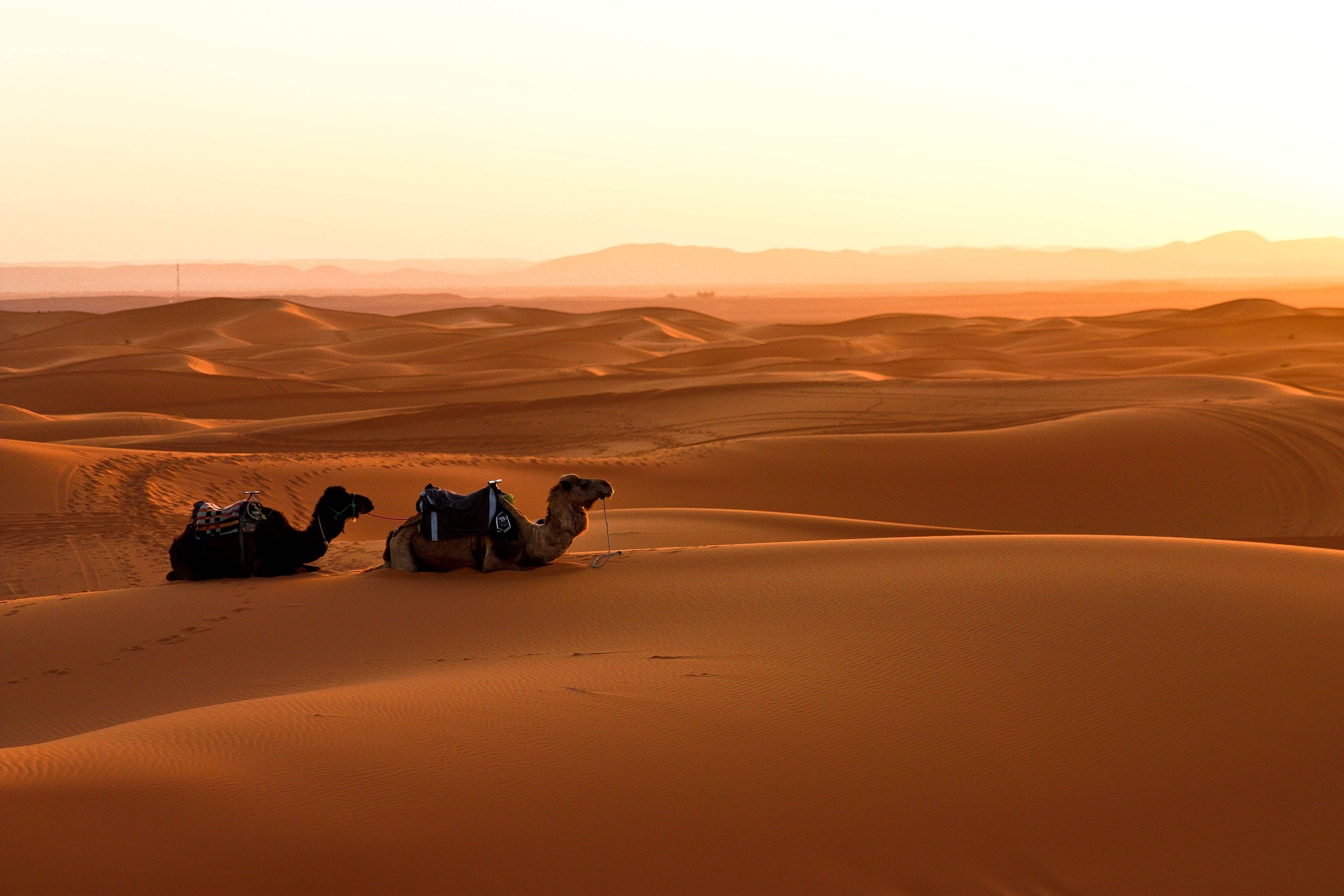 Comment apprendre le Français en Arabe