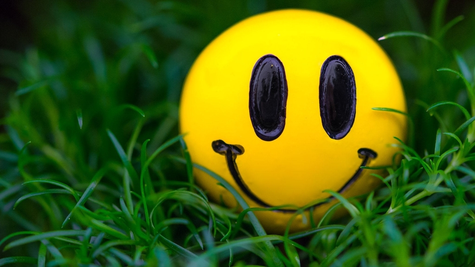 Knowledge Fun and programming facts