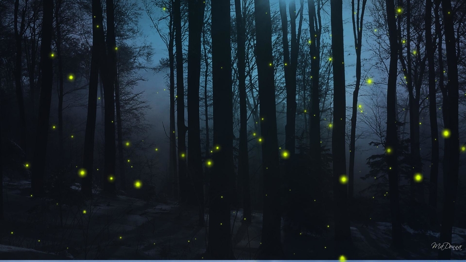 Earthlyfireflies