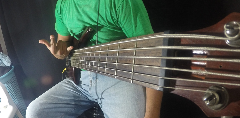 Carl Bassist
