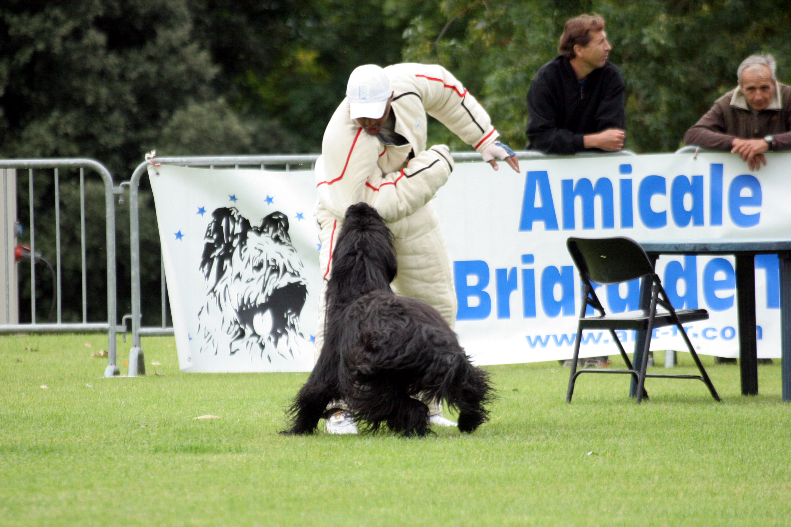 Amicale du Briard de travail