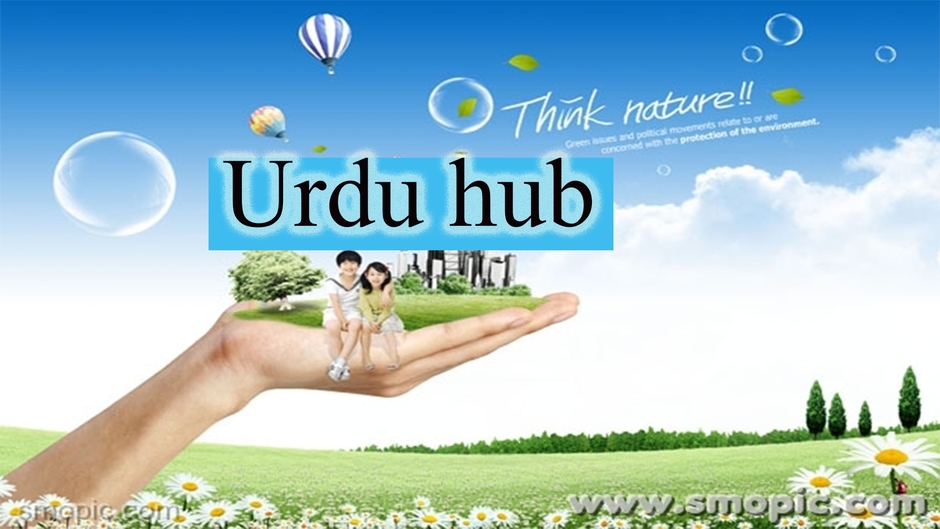 Hub Urdu