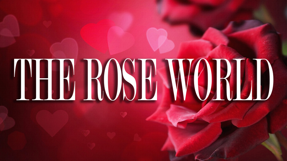 THE ROSE WORLD