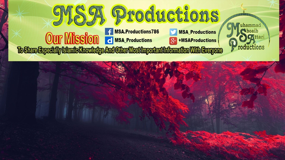 MSA Productions