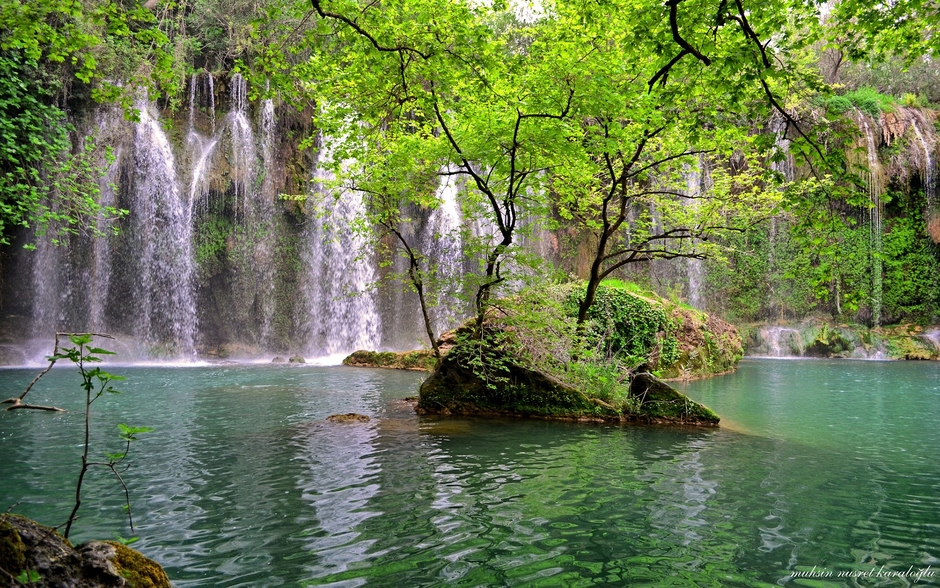 تهاني رائعه