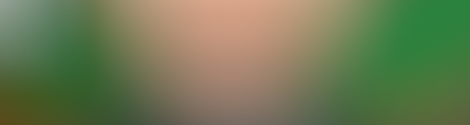 Pierre-Alain Goualch