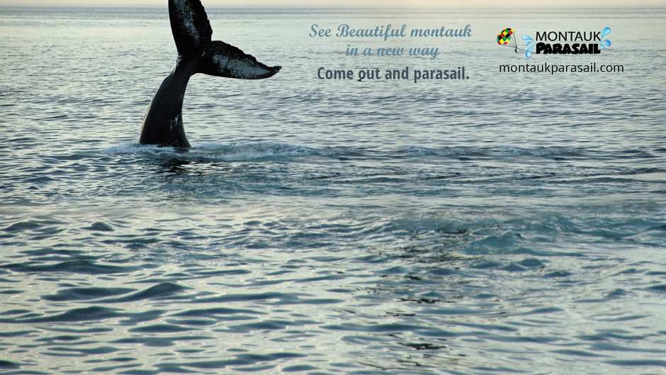 Montauk Parasail