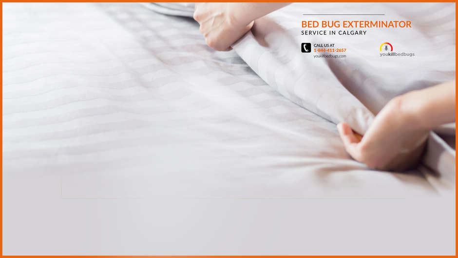 You Kill Bed Bugs Ltd.