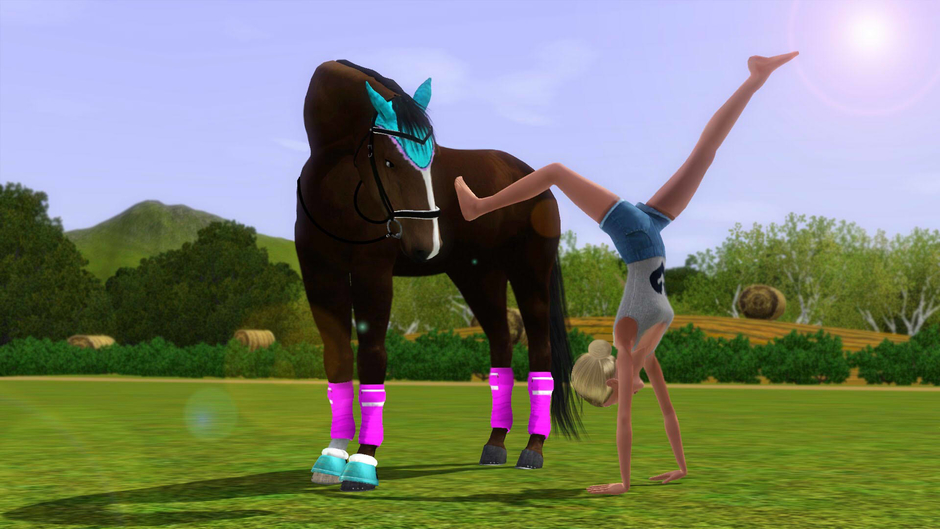 Dailymotion banner for @Equestrian