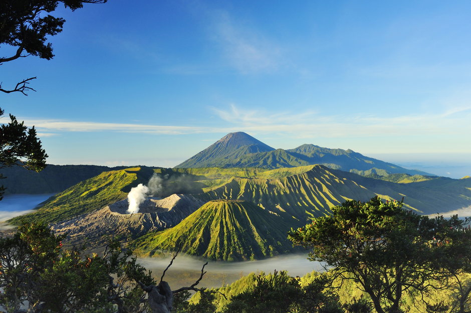 Trending Viral Terbaik Indonesia