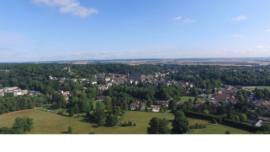 Mike Mittelham IMMOBILIER