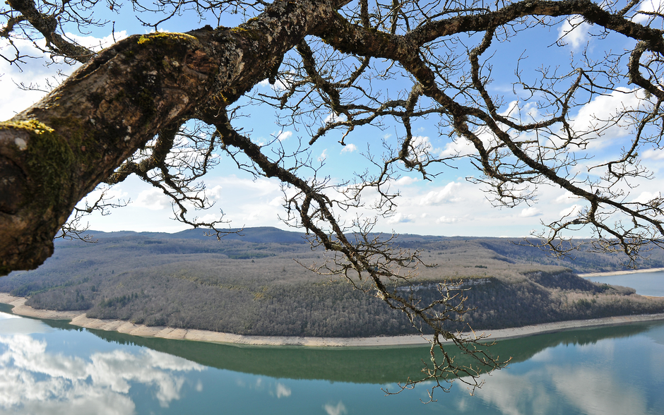 Le Progrès - Jura infos