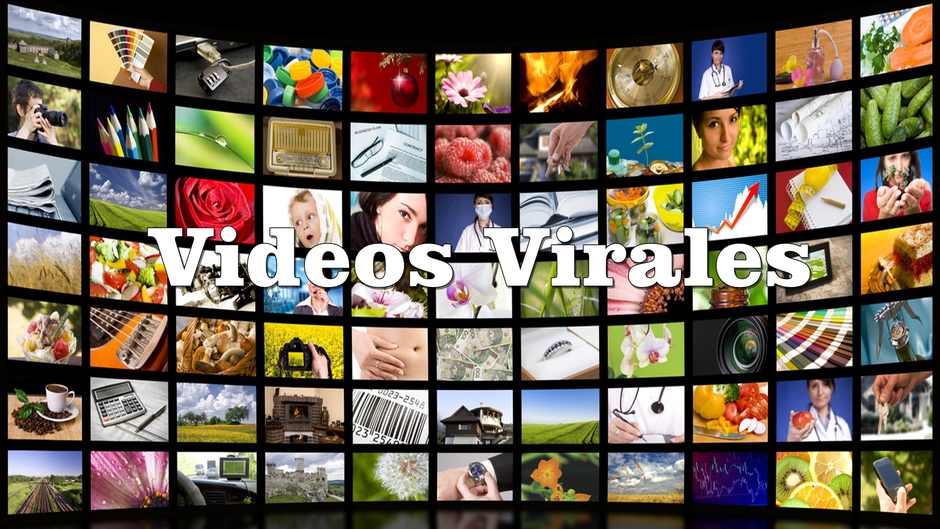 Videos Virales