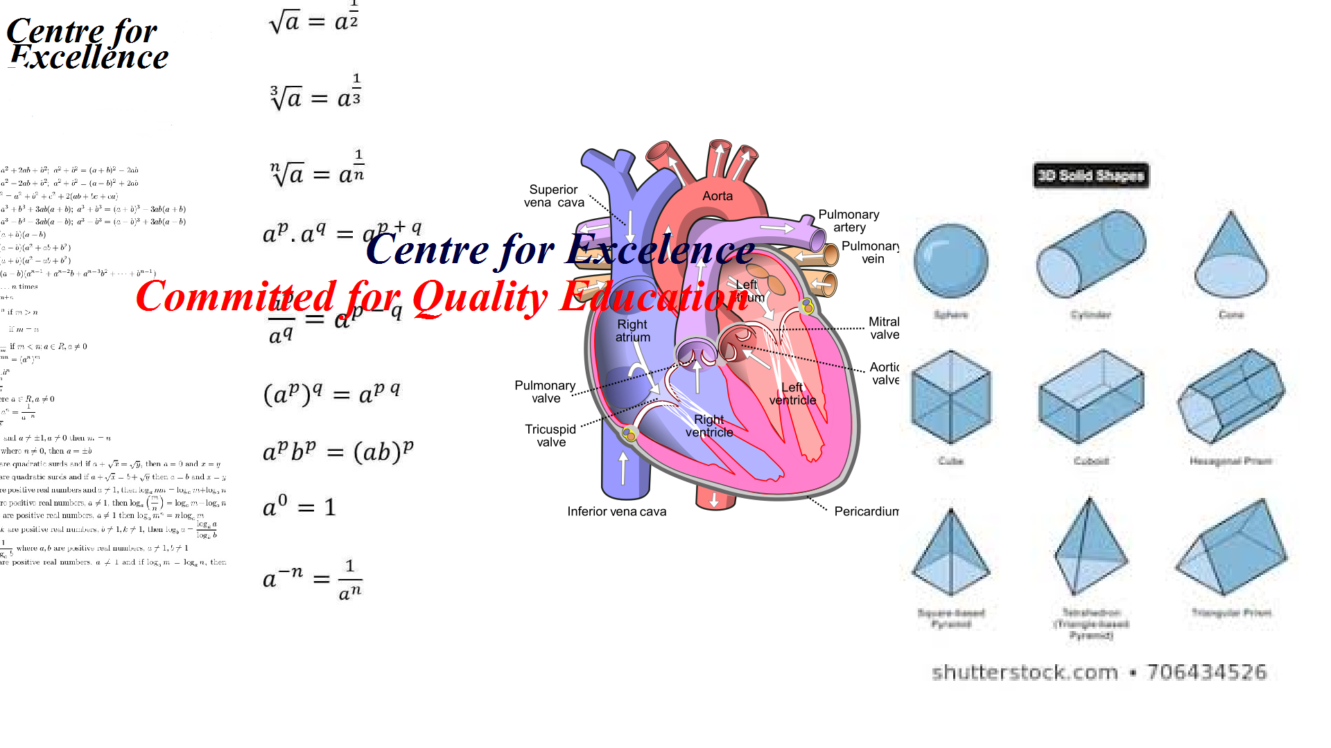 MOHAMMAD RASHID ALAM
