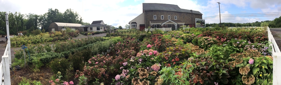 dm_311407be78d997c1bf980c1885b0dd91