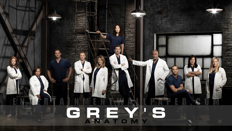Grey's Anatomy Seasons 14 Streaming