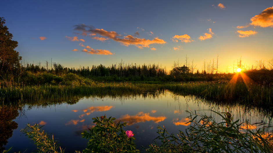 DocumentaireS et DiverS