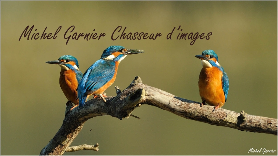 Michel Garnier Chasseur d'images