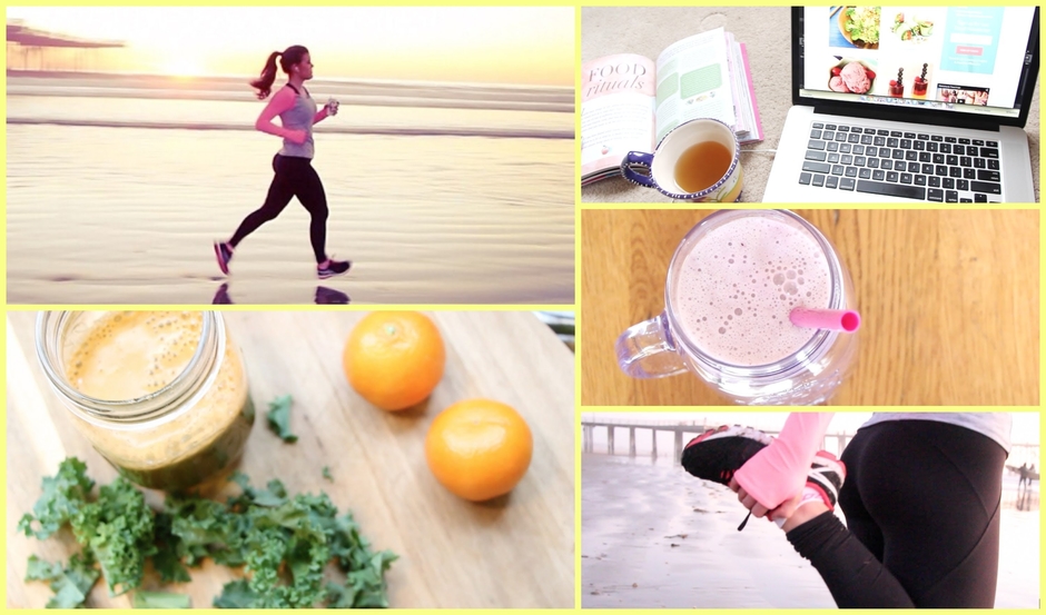 Home Kitties and Puppies