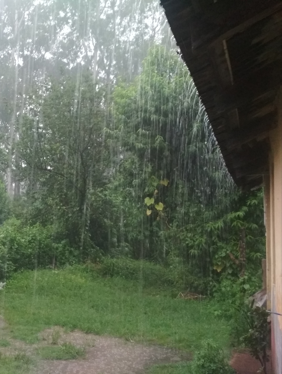 The entertainment video