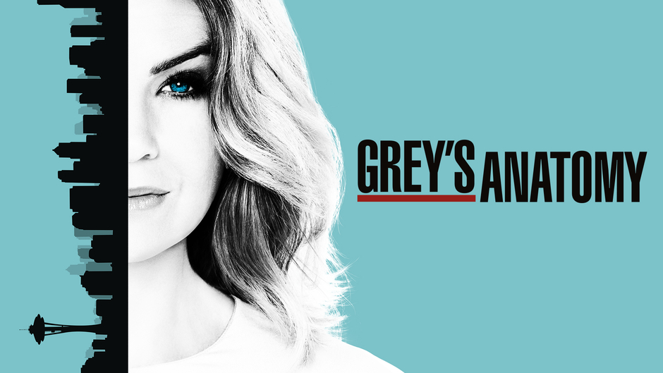 Grey's Anatomy Season 14 [Online Full]