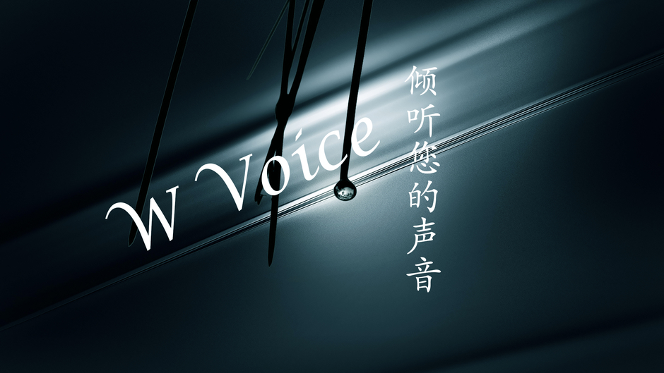 WVoice