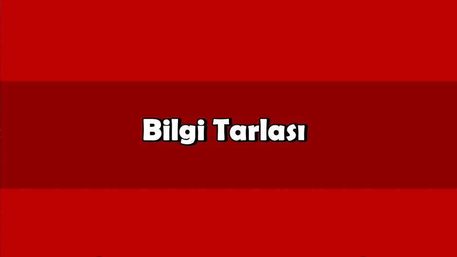 Bilgi Tarlasi