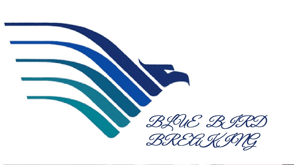 BLUE BIRD BREAKING