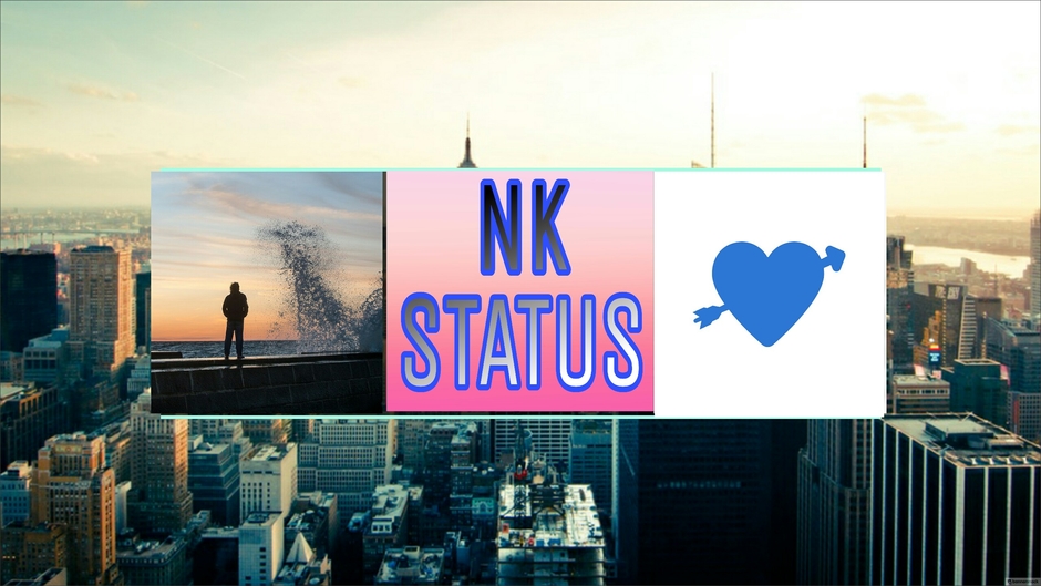 NK STATUS
