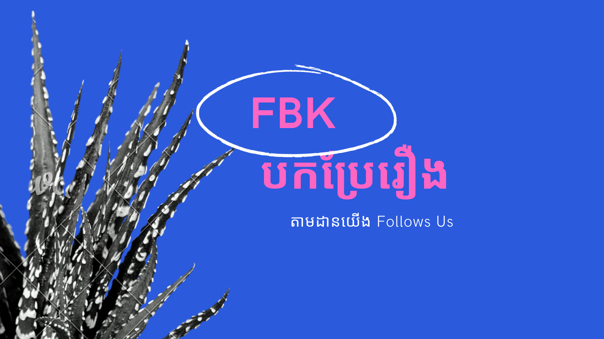 FAN BL KH (បកប្រែរឿង)