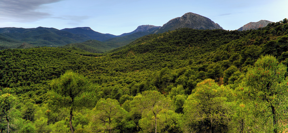 Para vivir feliz Versículos Bíblicos y consejos